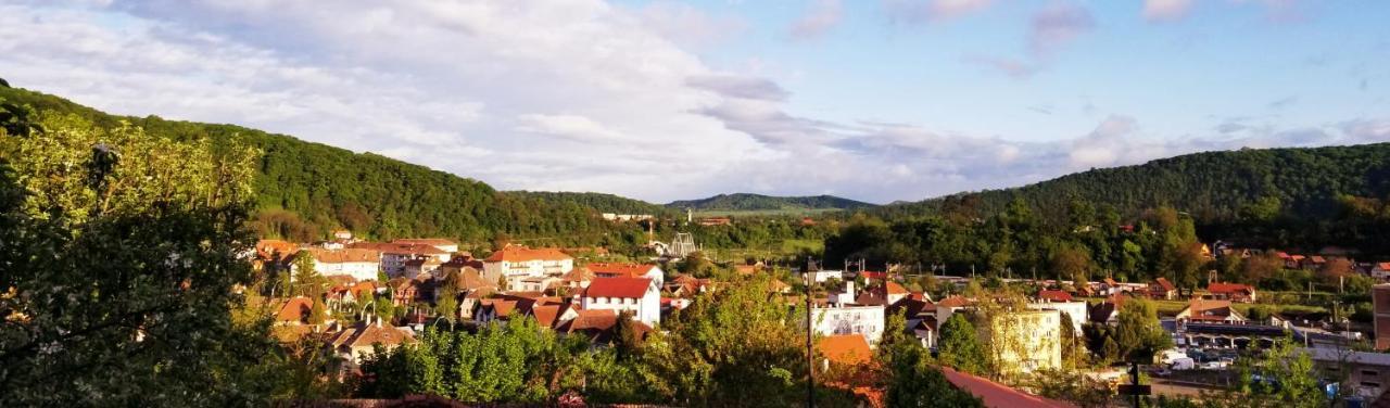 Pensiunea Lelila Inn ซิวิโชอารา ภายนอก รูปภาพ