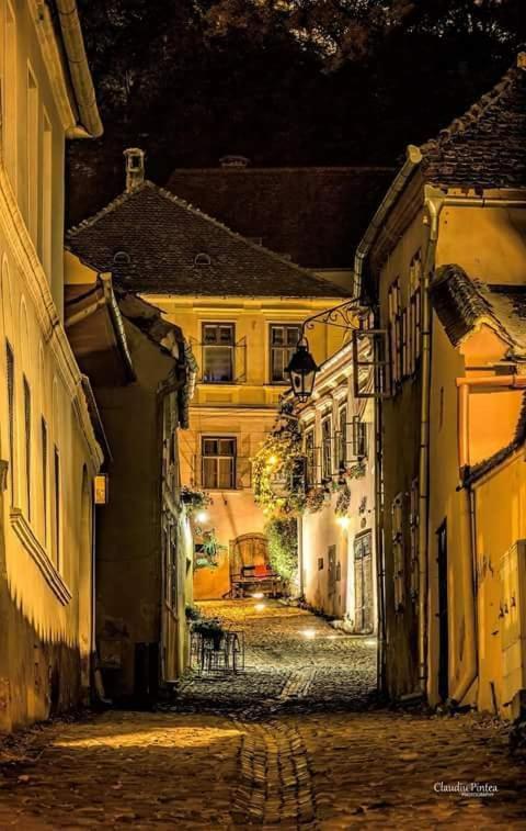 Pensiunea Lelila Inn ซิวิโชอารา ภายนอก รูปภาพ