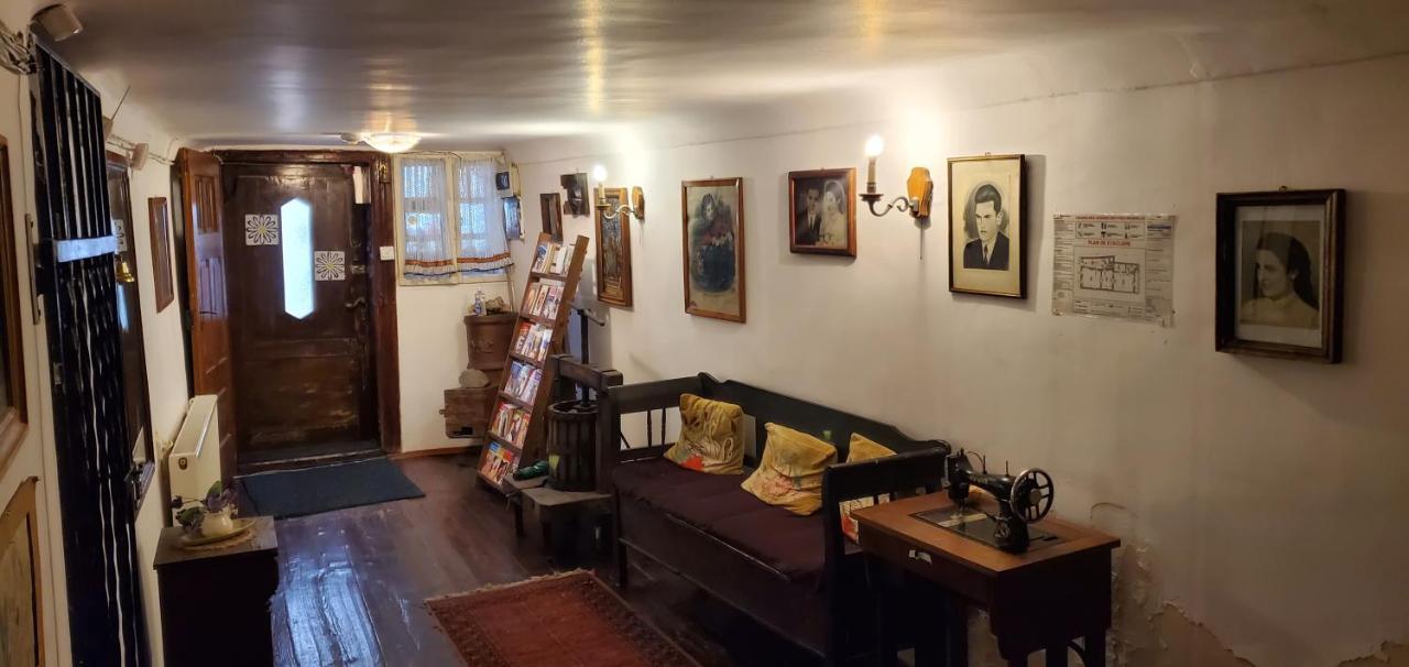 Pensiunea Lelila Inn ซิวิโชอารา ภายนอก รูปภาพ