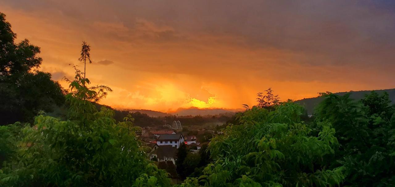 Pensiunea Lelila Inn ซิวิโชอารา ภายนอก รูปภาพ