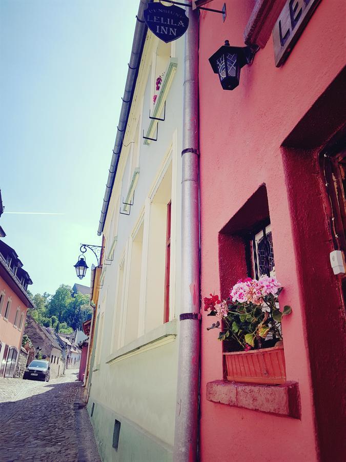 Pensiunea Lelila Inn ซิวิโชอารา ภายนอก รูปภาพ